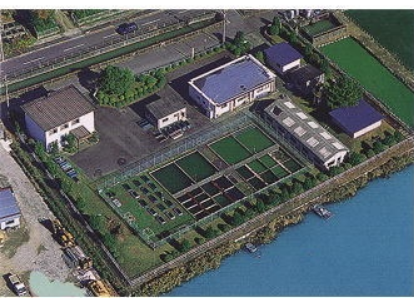 愛知県水産試験場