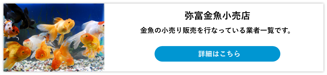 弥富金魚小売店