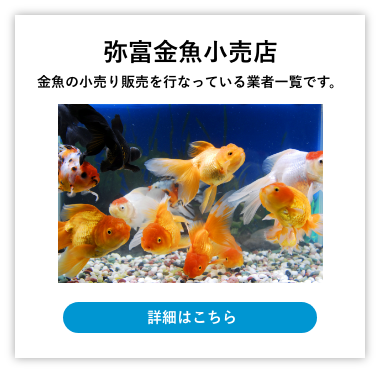 弥富金魚小売店