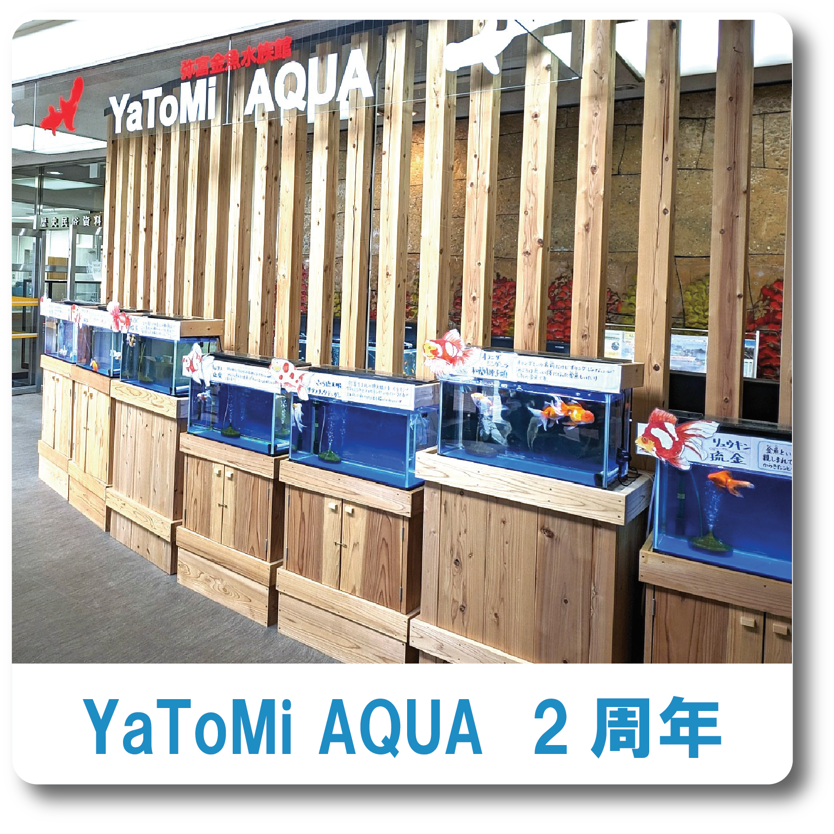 YaToMiAQUA ２周年記念