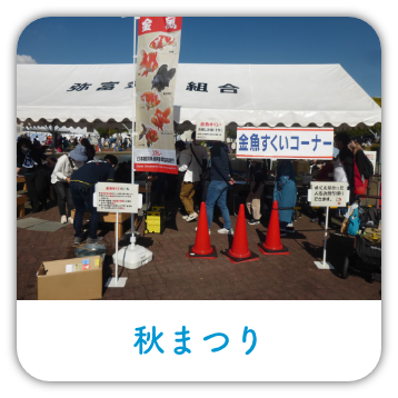秋まつり