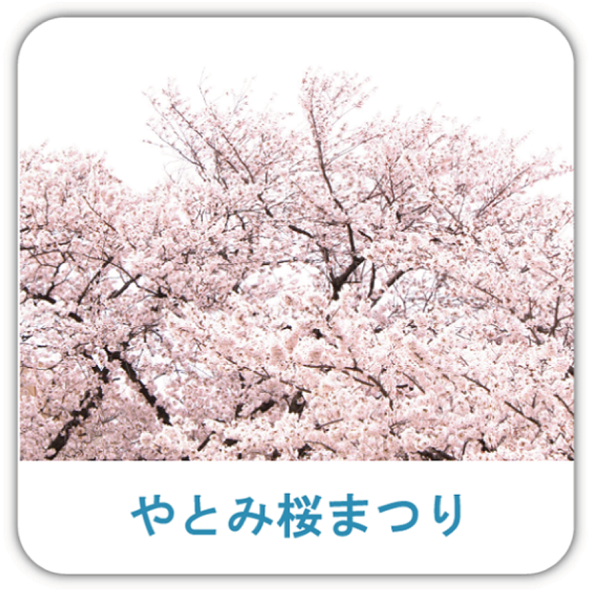 やとみ桜まつり